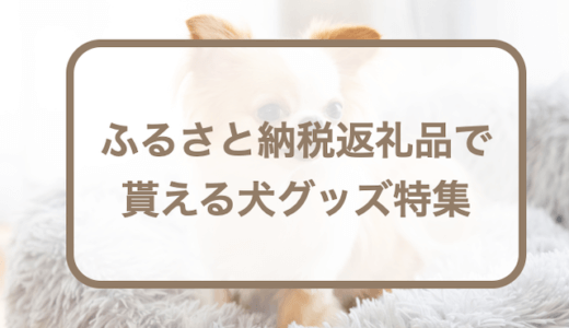 ふるさと納税返礼品で貰える犬グッズ14選！犬の首輪やペット用品など