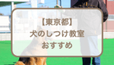 【東京都】犬のしつけ教室おすすめ10選！選ぶときのポイントも