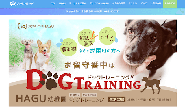 犬のしつけハグ