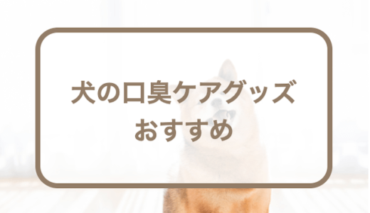 犬の口臭・口内ケアグッズおすすめ12選！犬の口臭で考えられる原因やケアグッズの選び方なども