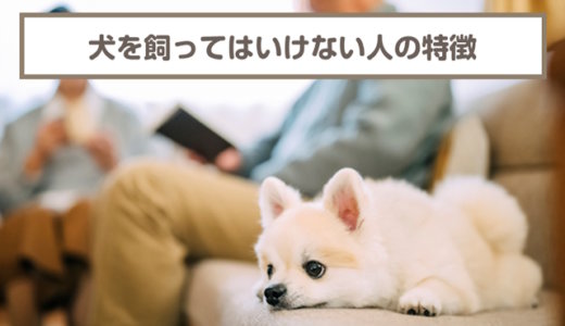 犬を飼ってはいけない人・飼うのに向いていな人の特徴6選！