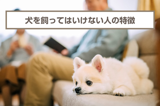 犬を飼ってはいけない人・飼うのに向いていな人の特徴6選！