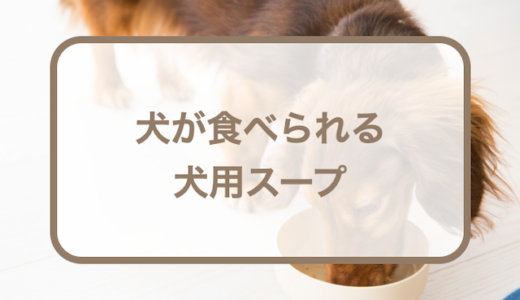 犬用のスープ10選！スープの素・だし・市販品を紹介