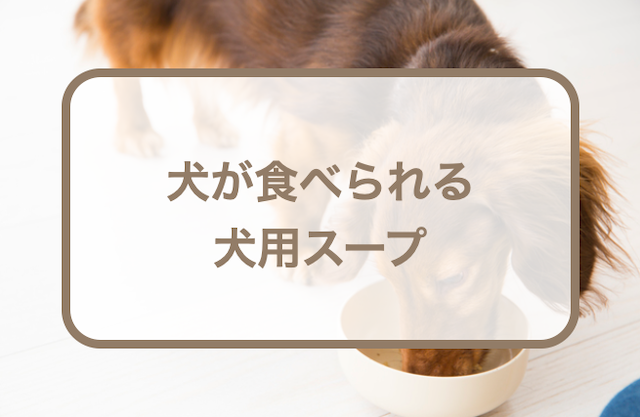 犬が食べれる犬用スープ！キューブタイプ・粉末タイプなども