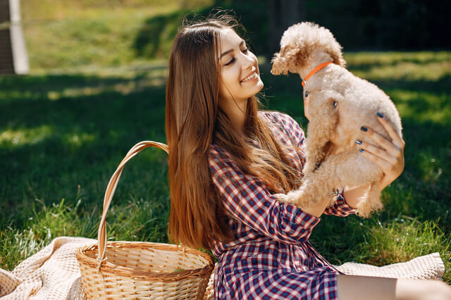 犬と飼い主さん