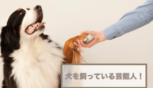 犬を飼っている芸能人まとめ！愛犬の名前や犬種などもご紹介！