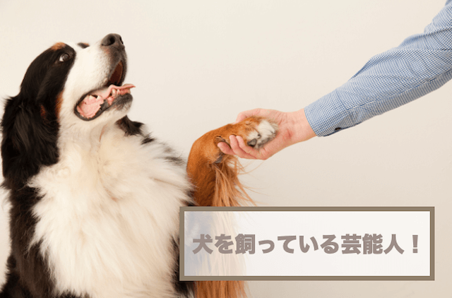 犬を飼っている芸能人まとめ！