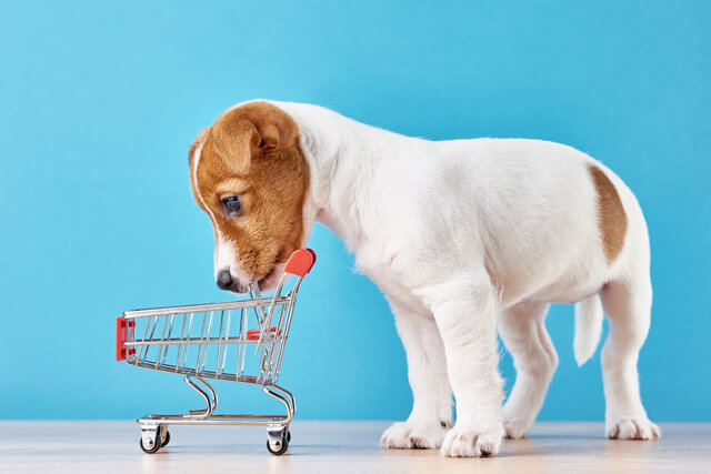 カートと犬