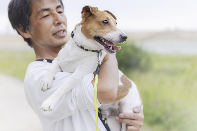 犬を抱っこする人