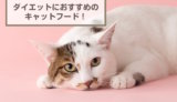 ダイエットにおすすめのキャットフード10選！選び方や種類を解説