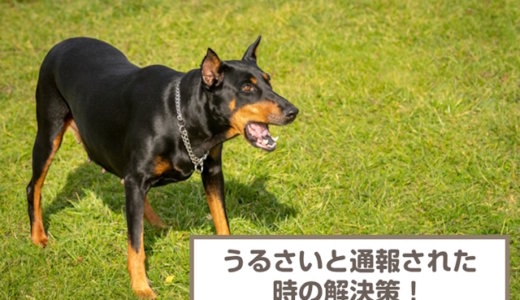 犬がうるさいと通報された時の6つの解決策！無駄吠えの原因も解説