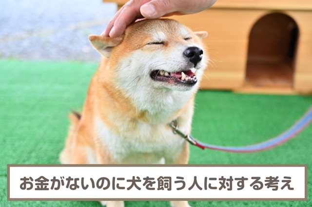 お金がないのに犬を飼うのってどうなの？世間の意見を調査