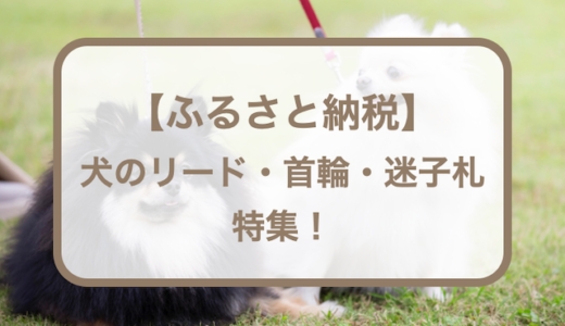 ふるさと納税返礼品で貰える犬のリード・首輪・迷子札10選