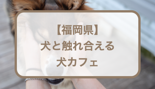 【福岡県】犬と触れ合える犬カフェおすすめ6選！