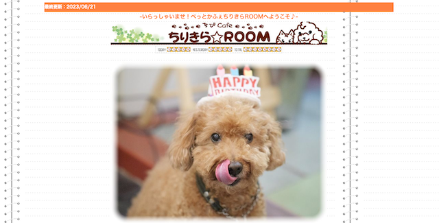 ちびcafe ちりきら☆ROOM