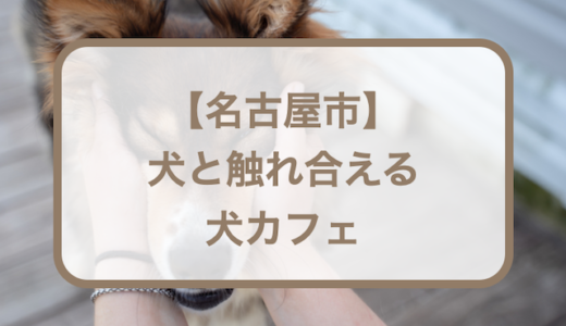 【名古屋】犬と触れ合える犬カフェおすすめ6選！人気・おしゃれなど