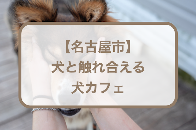 【名古屋】犬と触れ合える犬カフェおすすめ6選！人気・おしゃれなど