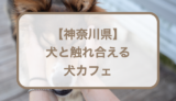 【神奈川】犬と触れ合える犬カフェおすすめ7選！愛犬ど同伴できるカフェに行くときの持ち物リストも