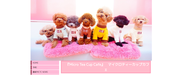 Micro Tea Cup Cafe