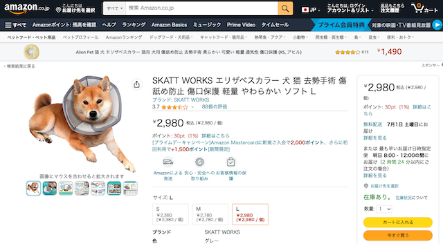 SKATT WORKS エリザベスカラー