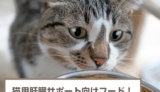 猫用肝臓のサポート向けフード4選！選び方も解説