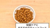 腎臓ケアにおすすめのキャットフード8選！選び方や療法食を紹介