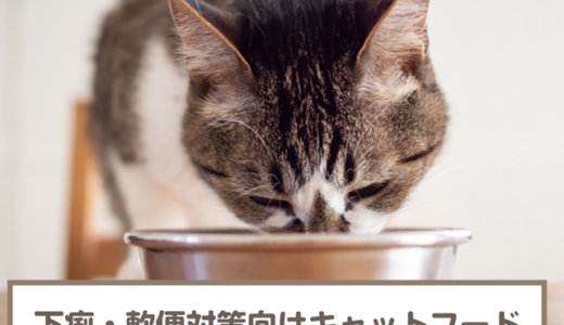 猫の下痢・軟便対策におすすめのキャットフード8選！選び方も解説