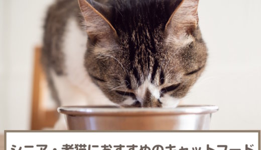 シニア猫(高齢猫)用におすすめのキャットフード7選！15歳以上向けも