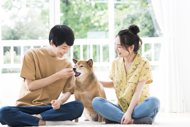 お菓子を与えられる犬