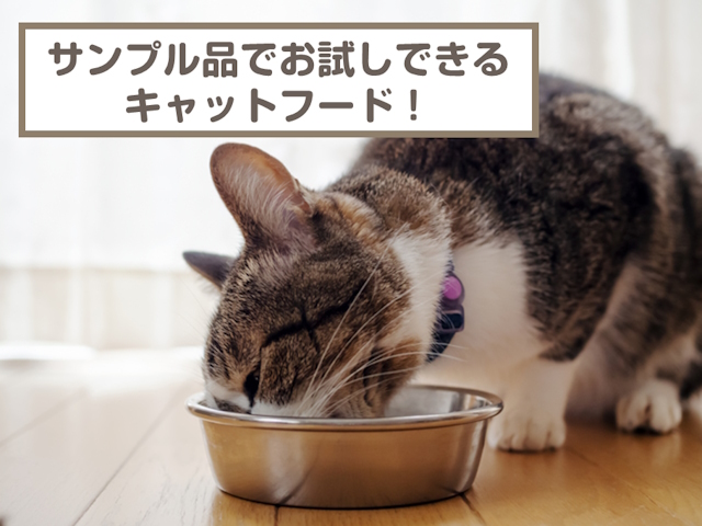 サンプル品のあるお試しできるおすすめのキャットフード13選！