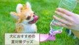 犬におすすめの夏対策グッズ10選！室内・屋外・散歩で利用できるアイテムなど