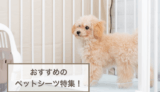 犬用ペットシーツおすすめ！選び方もご紹介！