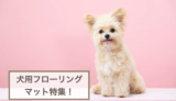 犬用フローリングマットおすすめ！選ぶときのポイントもご紹介！