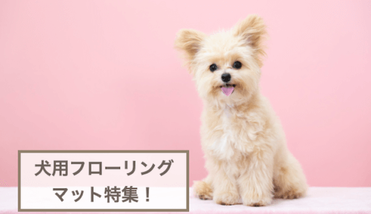 犬用フローリングマットおすすめ10選！選ぶときのポイントもご紹介！