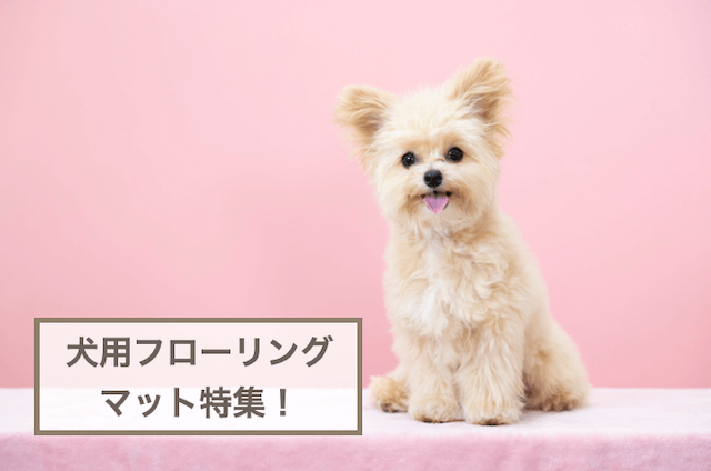 犬用フローリングマットおすすめ！選ぶときのポイントもご紹介！