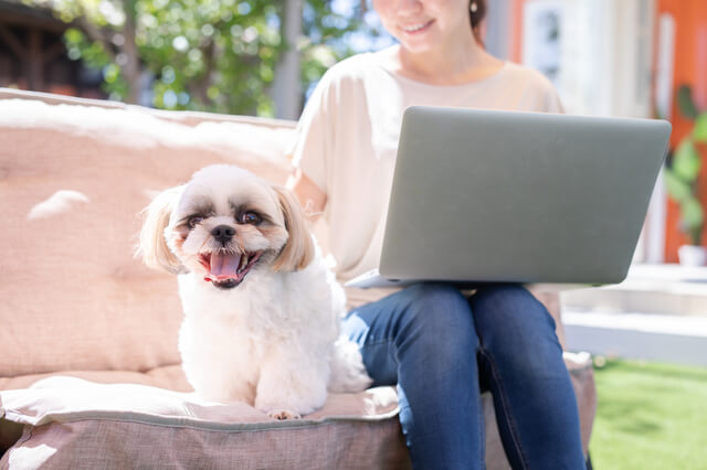 犬と飼い主さん