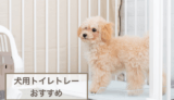 犬用トイレトレーおすすめ！選ぶときのポイントもご紹介！