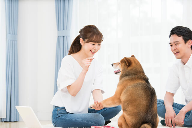 犬と飼い主さん