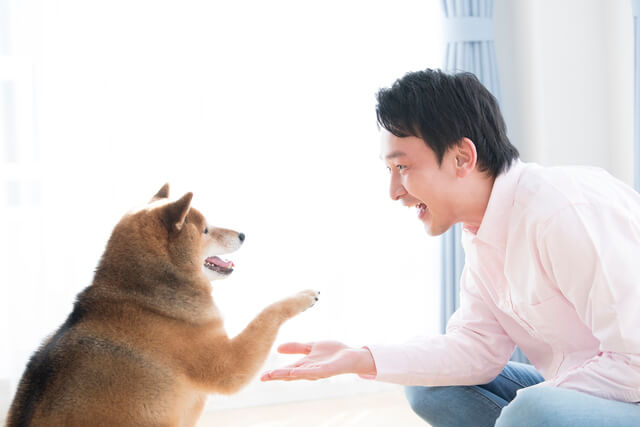 犬にお手をする人