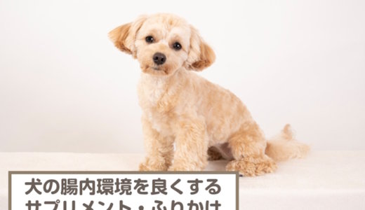 犬の腸内環境を良くするサプリメント・ふりかけのおすすめ4選！