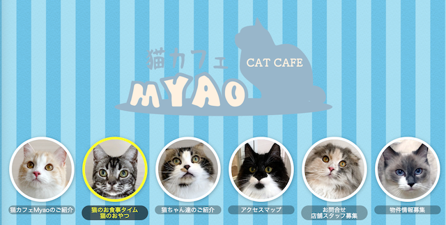 猫カフェMyao