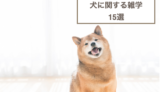 犬に関する雑学15選！面白い習性などもご紹介