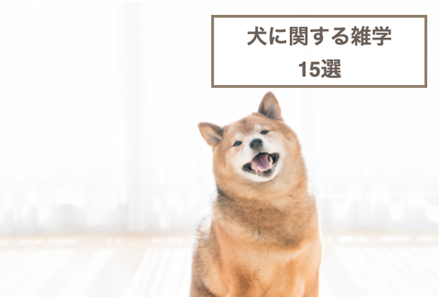 犬に関する雑学15選！面白い習性などもご紹介