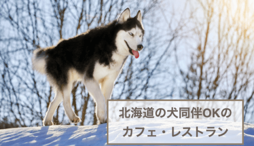 北海道の犬同伴OKのカフェ・レストランおすすめ6選！訪れるときに注意したいこともご紹介