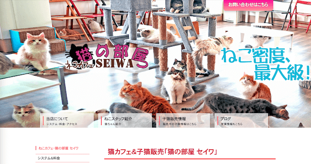 猫の部屋セイワ