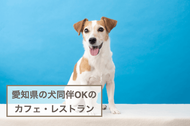 愛知県の犬同伴OKのカフェ・レストランおすすめ5選！