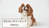 吠えない犬ランキングTOP15！吠える犬も紹介