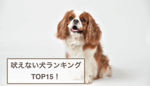 吠えない犬ランキングTOP15！吠える犬も紹介