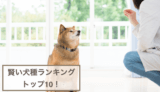 賢い犬種ランキングトップ10！犬の知能についてもご紹介！