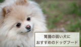 胃腸の弱い犬におすすめのドッグフード